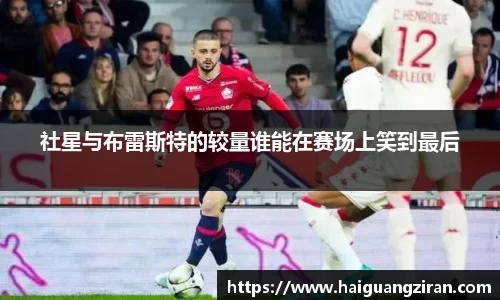 333官网