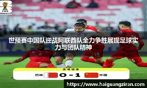 333官网