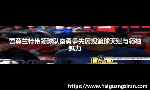 333官网
