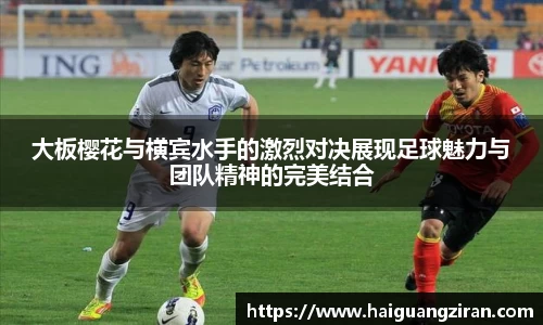 333官网