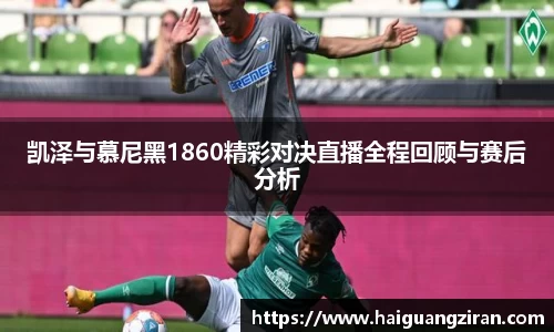 333体育