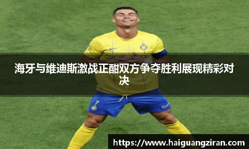 333官网
