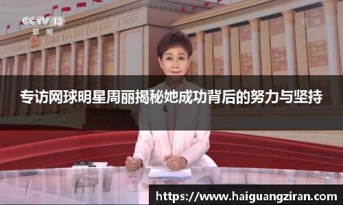 333官网