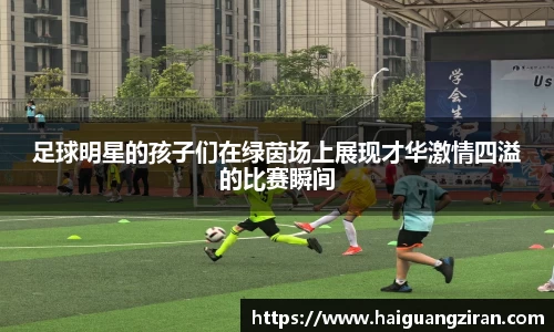 333官网